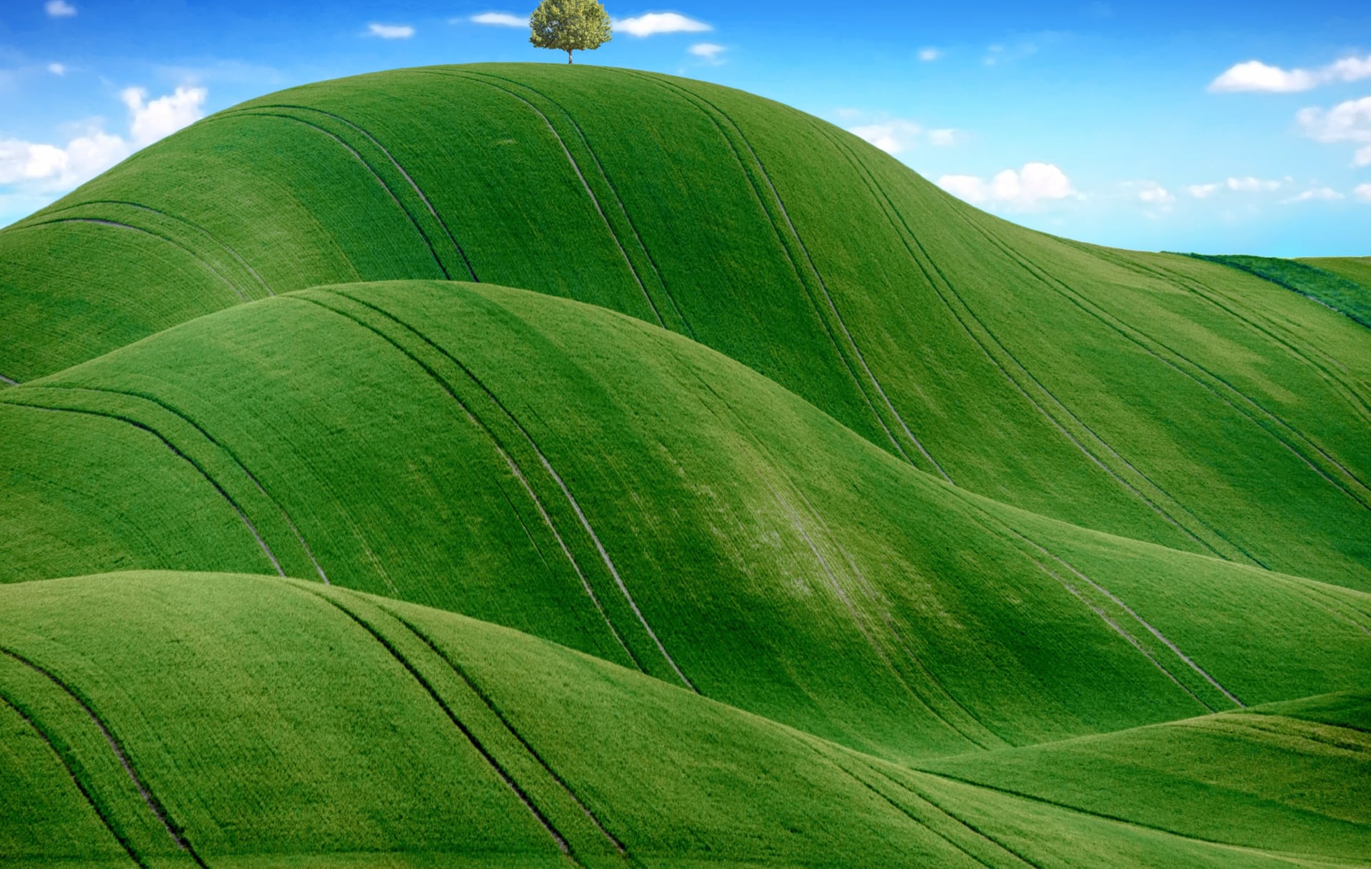 Green Meadow at 640 x 1136 iPhone 5 size wallpapers HD quality