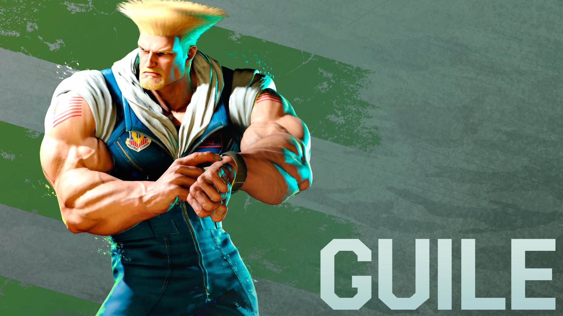 Guile wallpapers HD quality