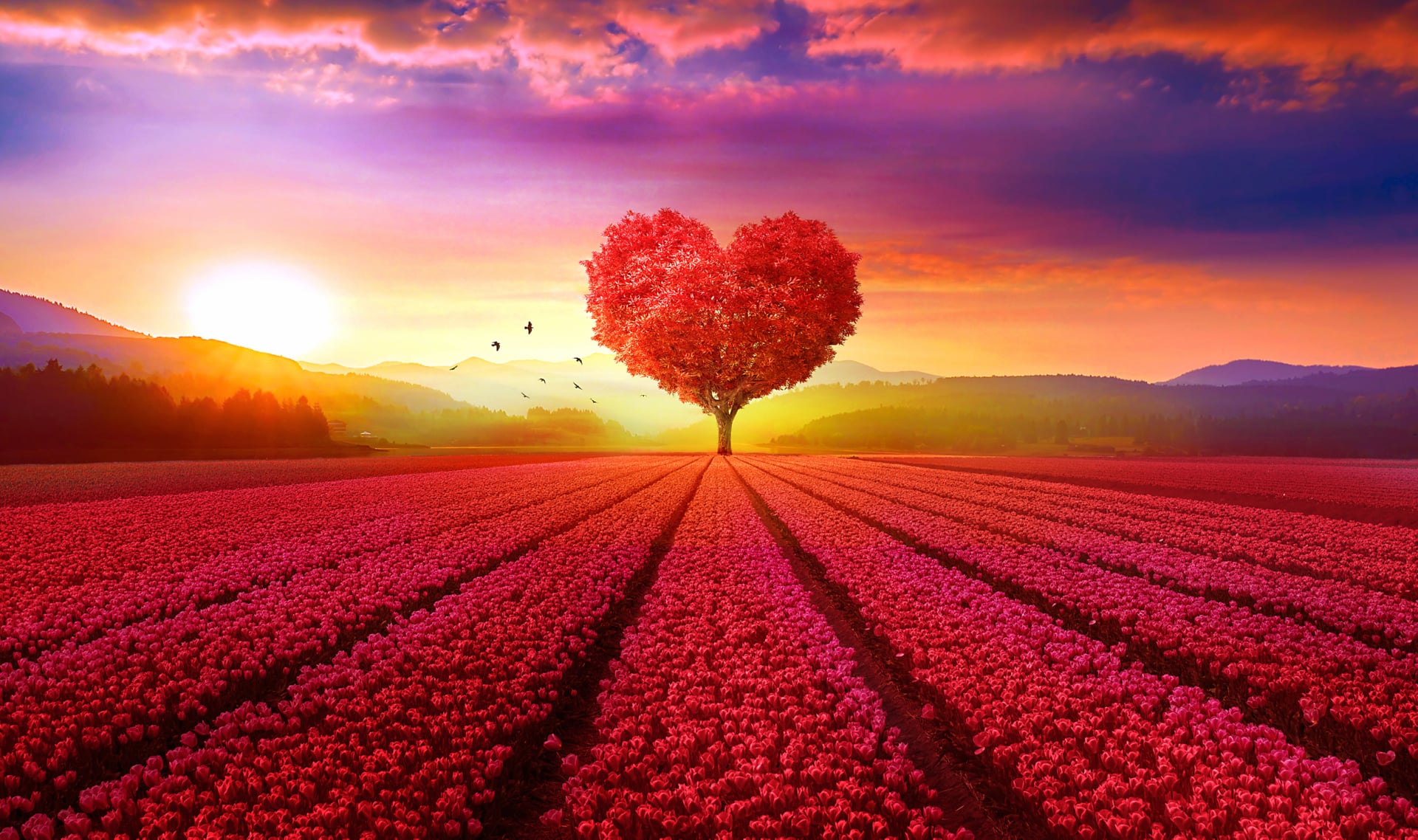Heart tree at 1024 x 768 size wallpapers HD quality