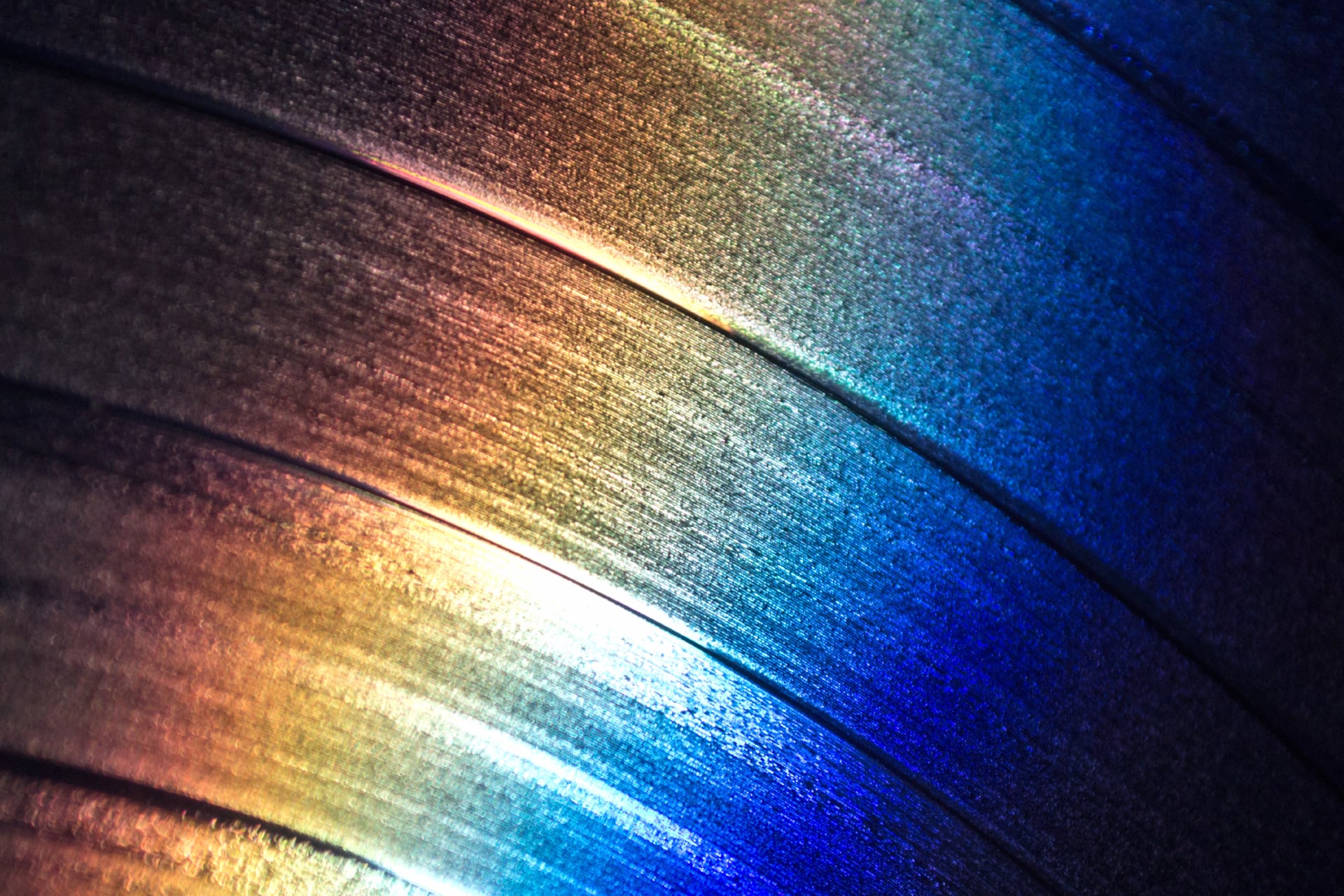 Light on record at 320 x 480 iPhone size wallpapers HD quality