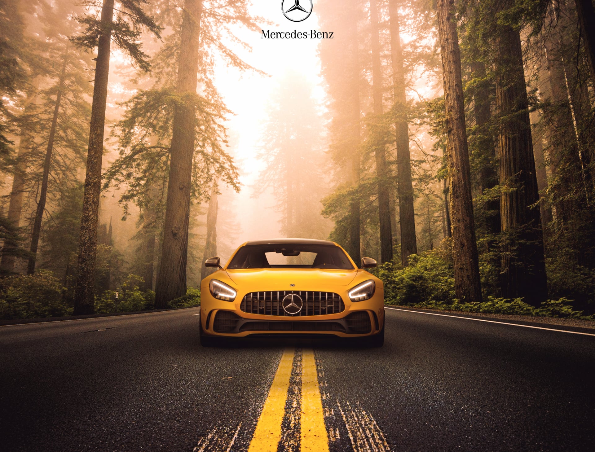 Mercedes-Benz AMG GT R at 750 x 1334 iPhone 6 size wallpapers HD quality