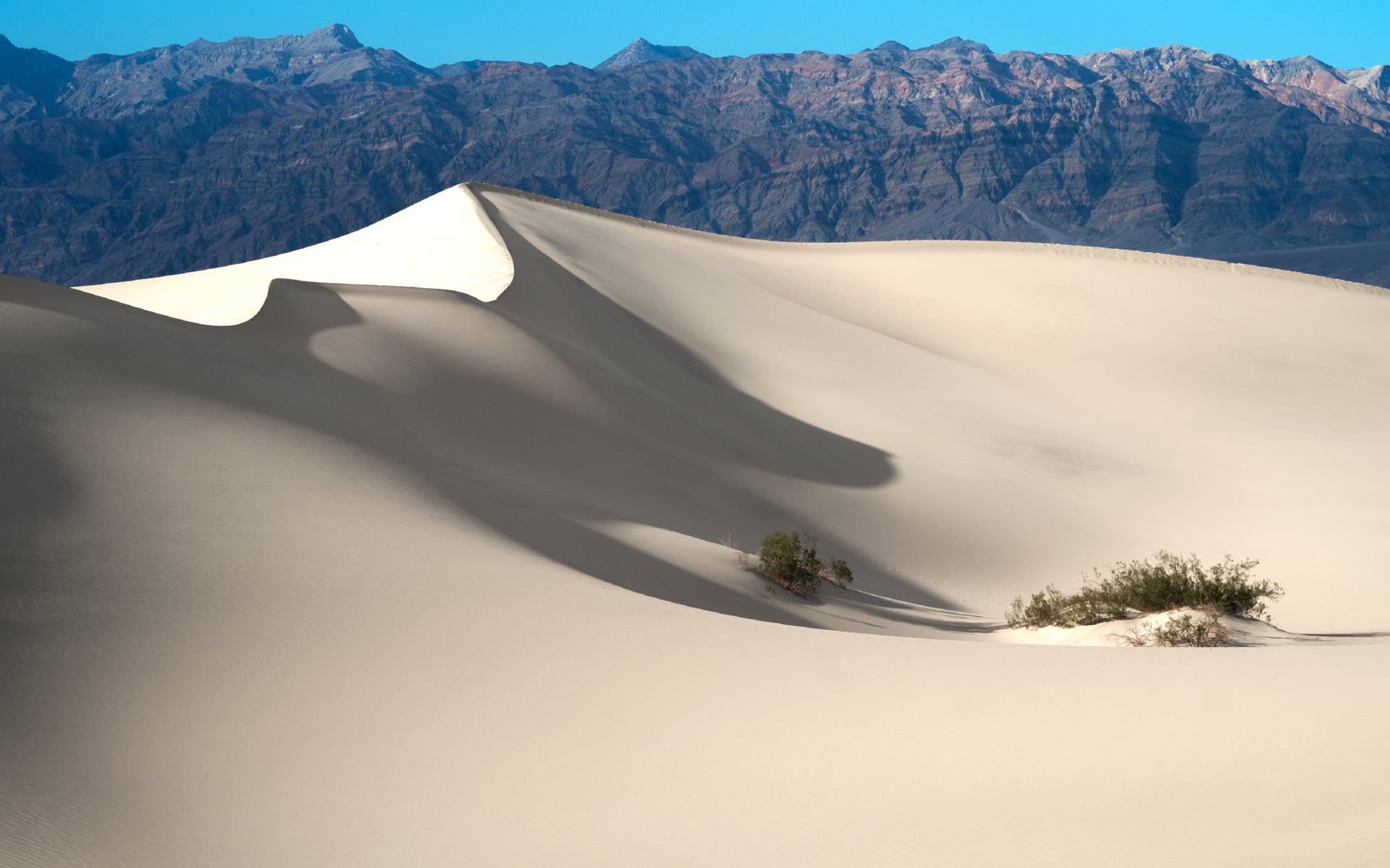 Mesquite Flat Sand Dunes at 1600 x 1200 size wallpapers HD quality