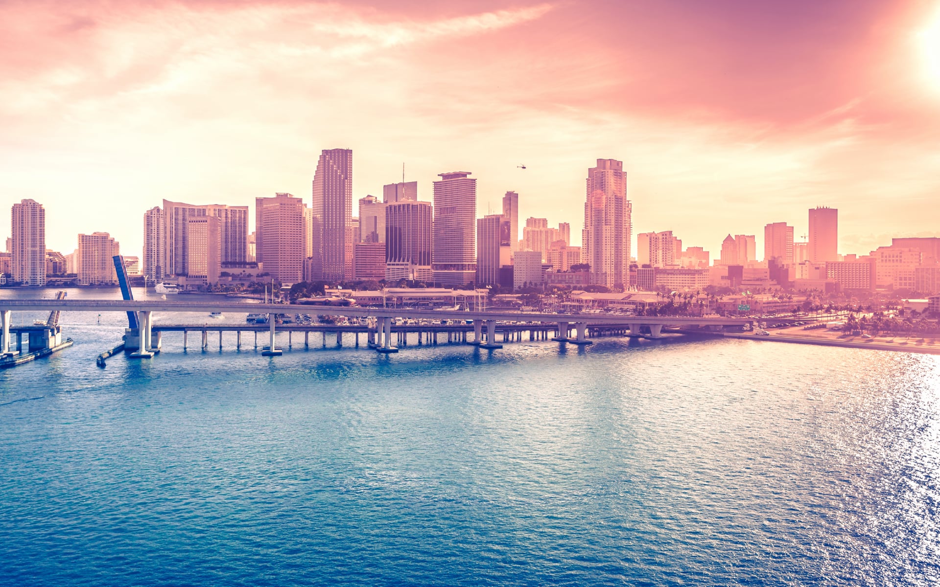 Miami Downtown at 750 x 1334 iPhone 6 size wallpapers HD quality