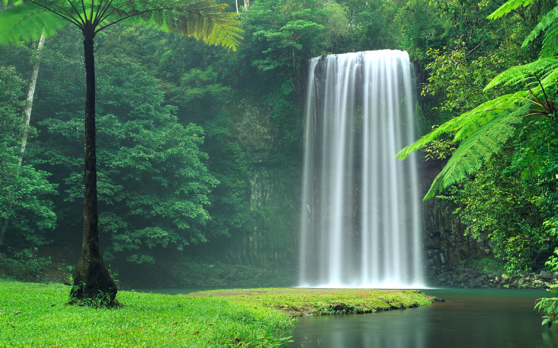 Millaa Millaa Falls at 1024 x 1024 iPad size wallpapers HD quality