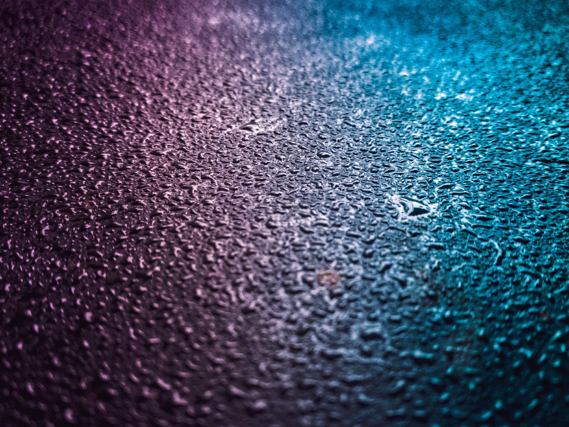 Moisture at 640 x 960 iPhone 4 size wallpapers HD quality