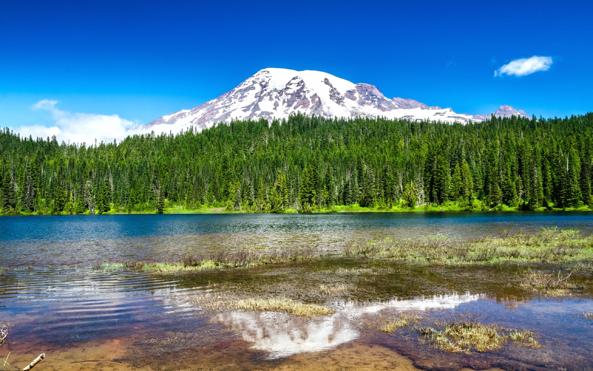 Mount Rainier National Park wallpapers HD quality