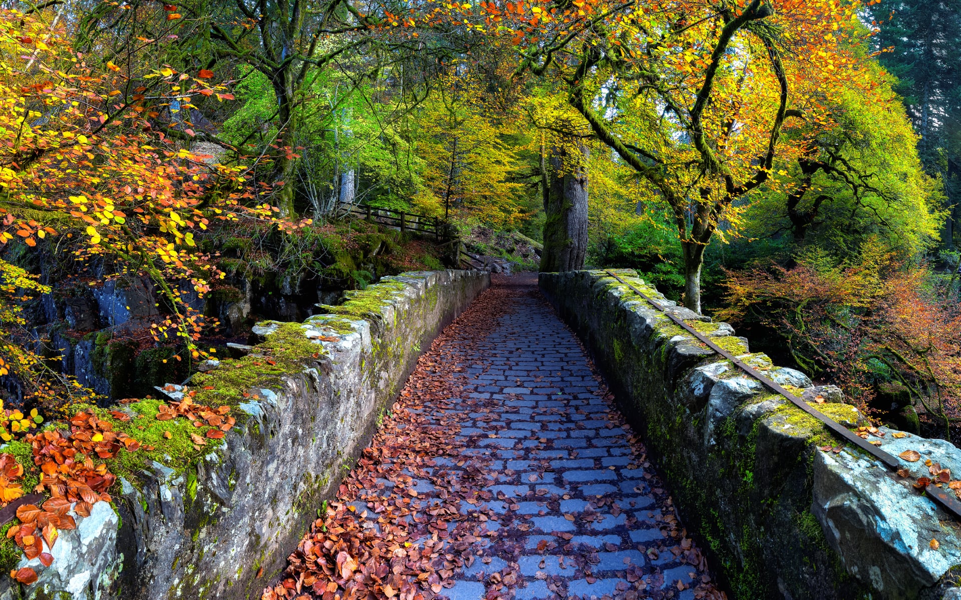 Old Bridge Over River Braan at 320 x 480 iPhone size wallpapers HD quality