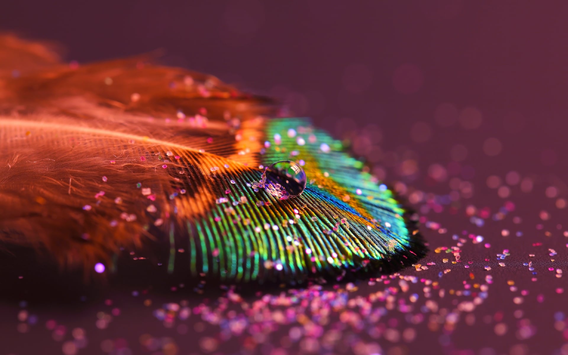 Peacock feather at 640 x 960 iPhone 4 size wallpapers HD quality