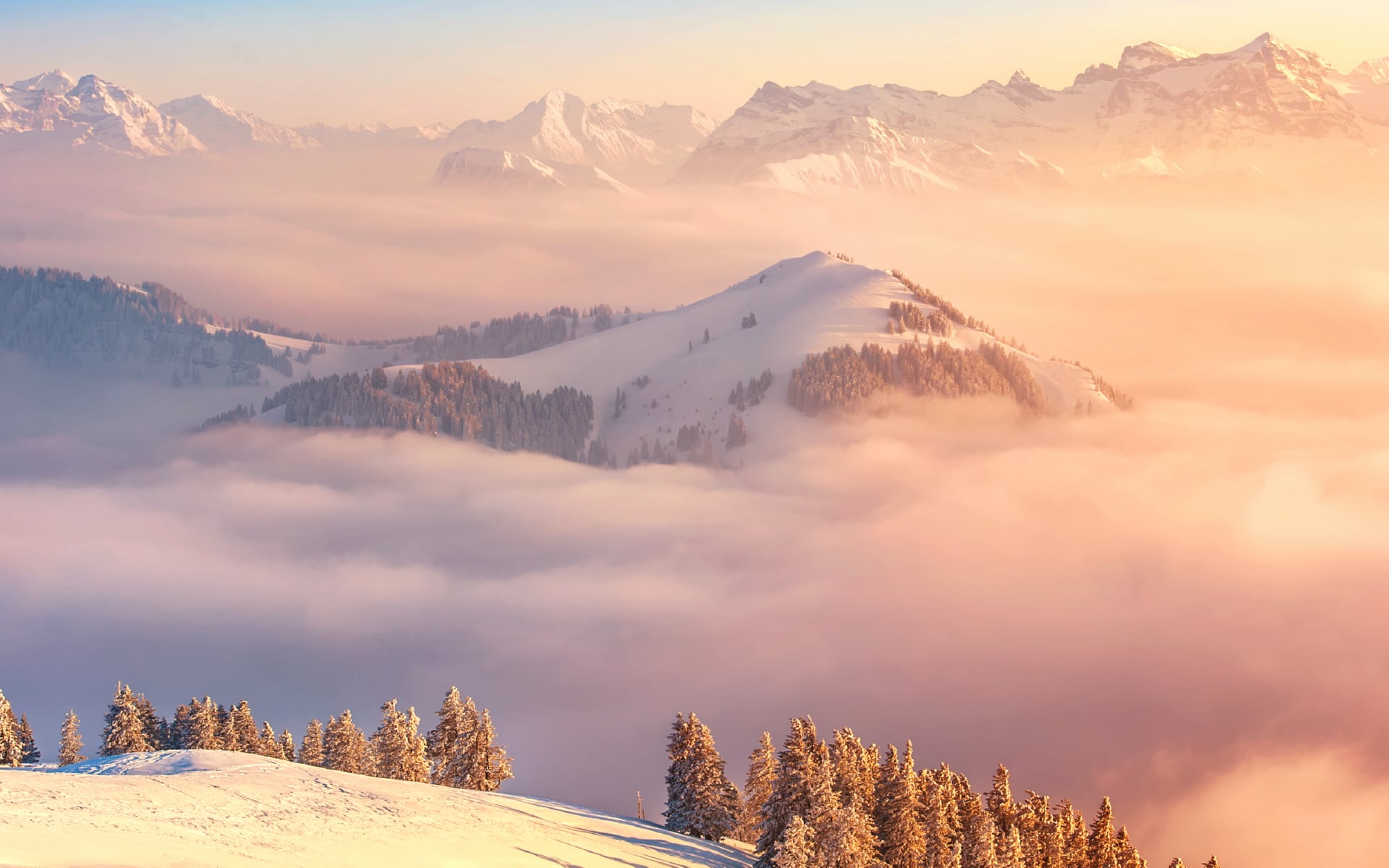 Rigi Kulm at 750 x 1334 iPhone 6 size wallpapers HD quality