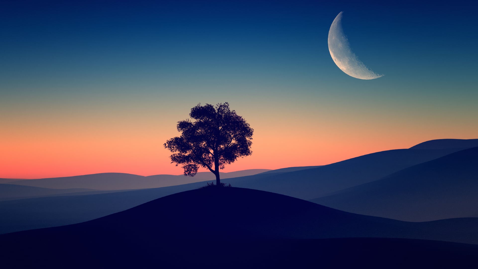 Solitude Tree wallpapers HD quality