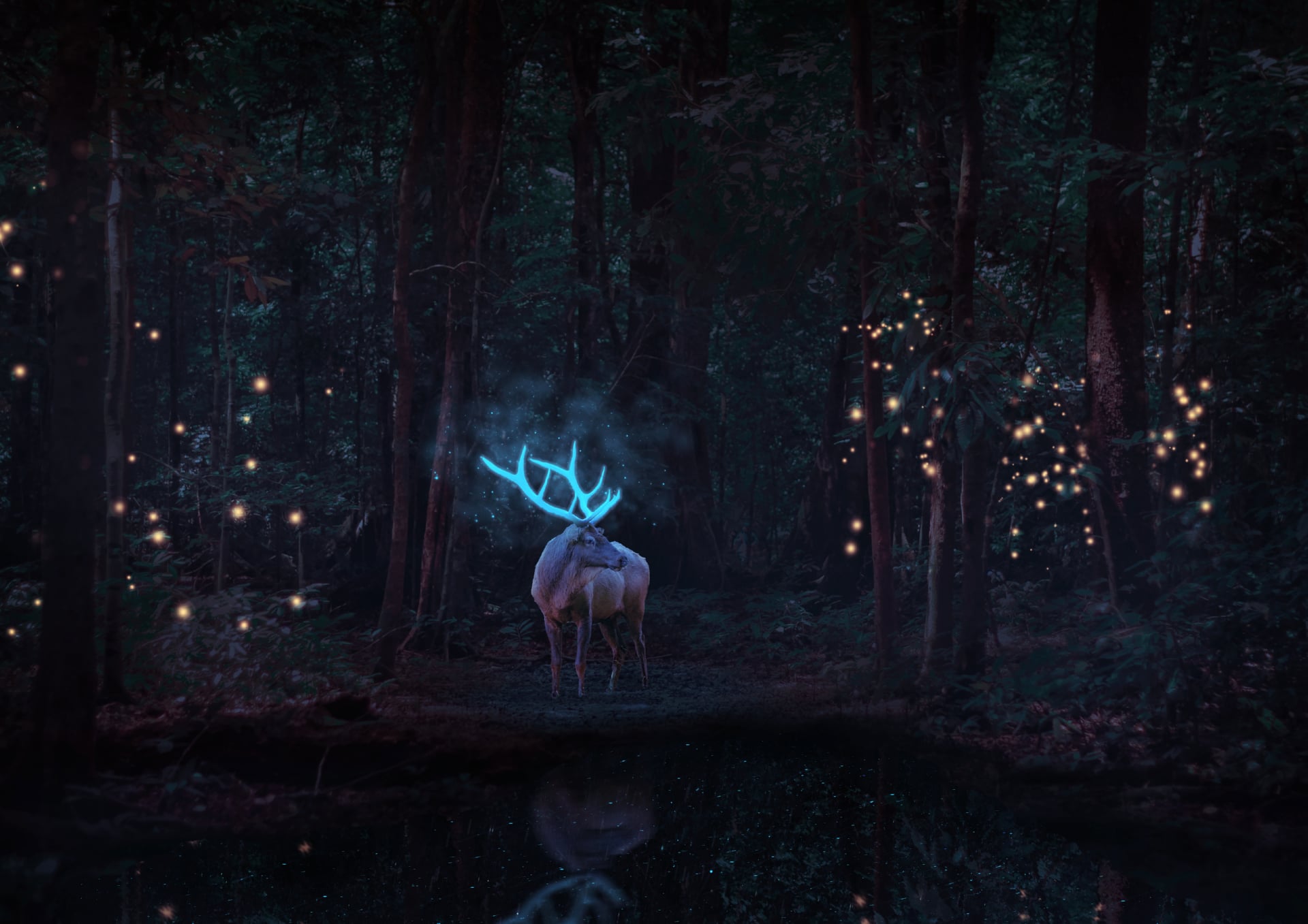 Stag at 640 x 1136 iPhone 5 size wallpapers HD quality