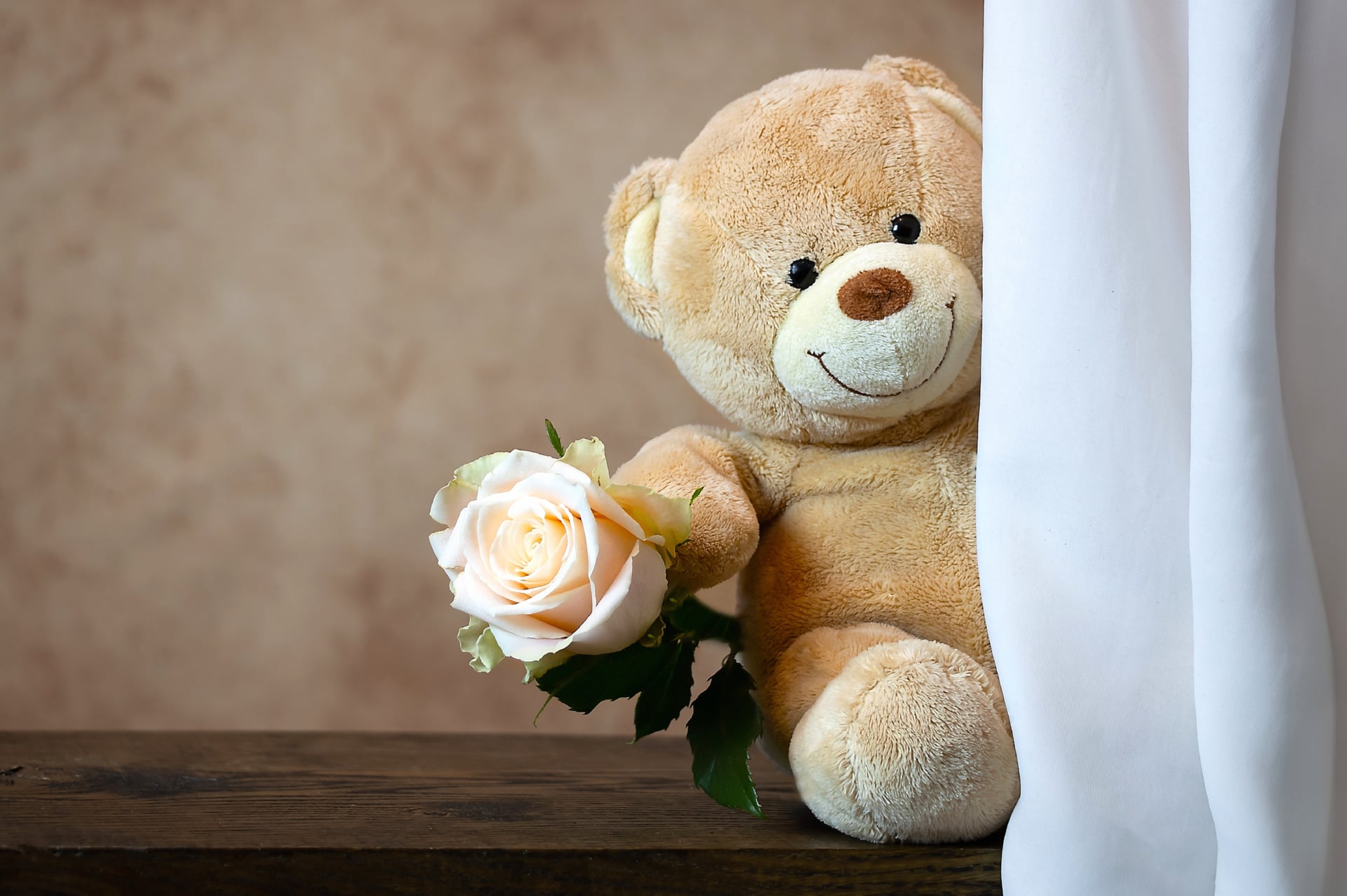 Teddy bear at 320 x 480 iPhone size wallpapers HD quality