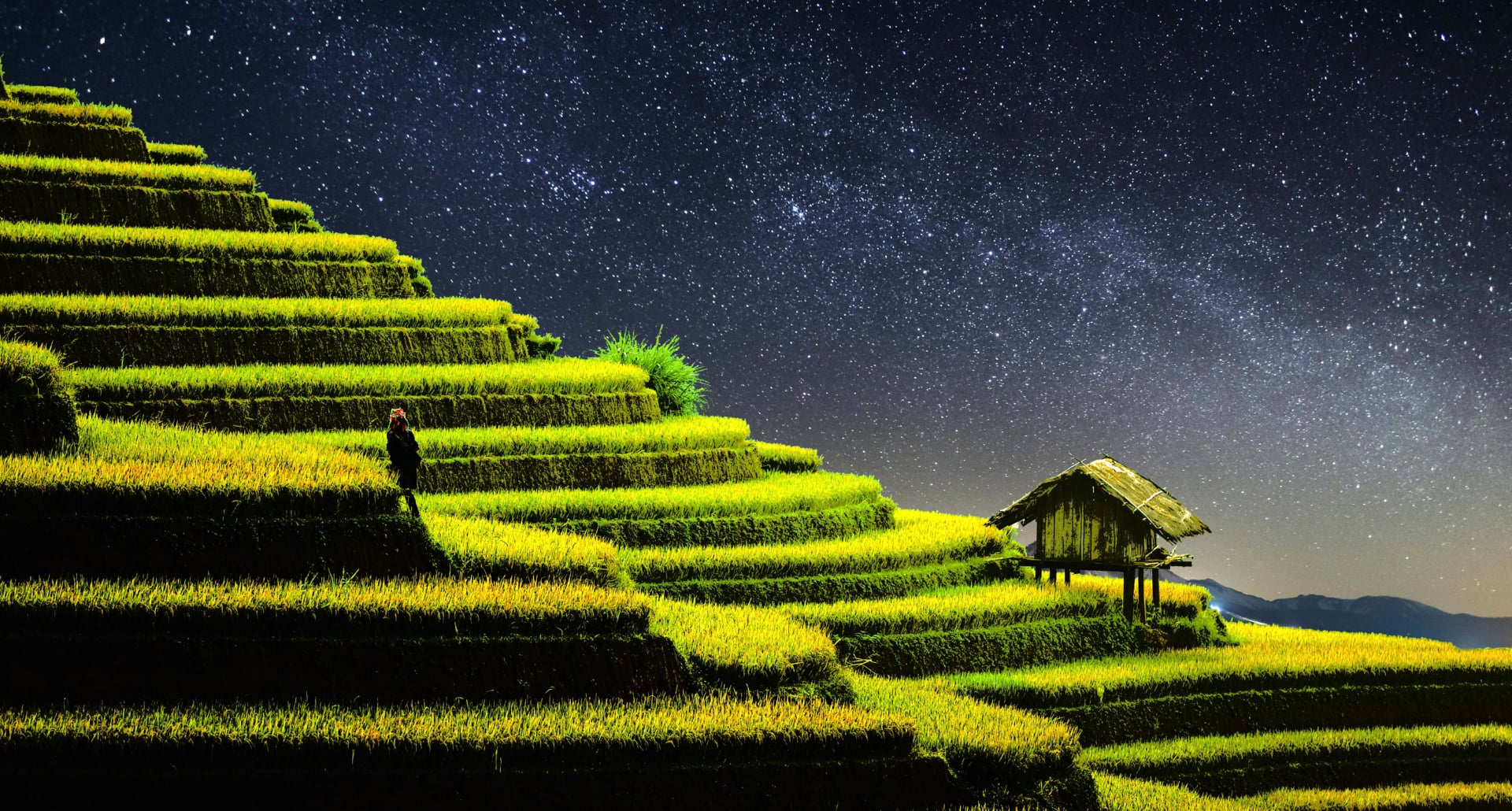 Terrace farming at 640 x 1136 iPhone 5 size wallpapers HD quality