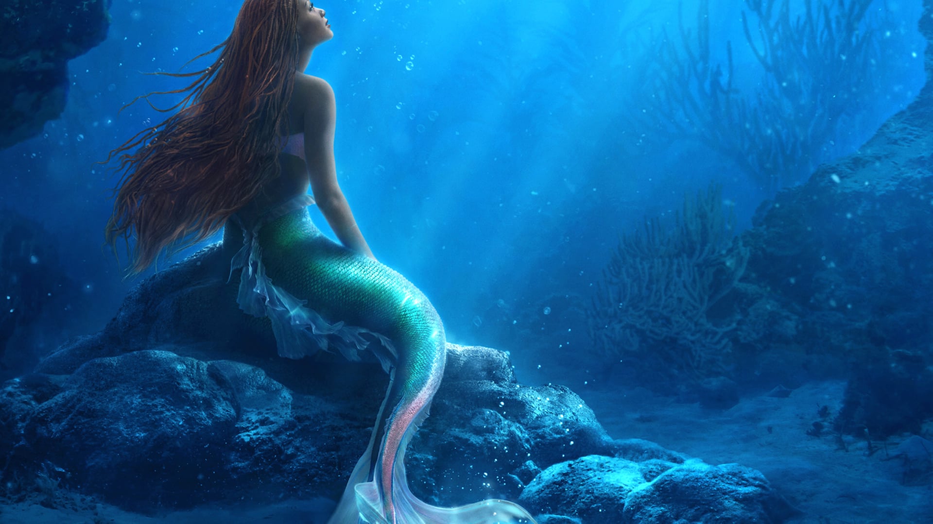 The Little Mermaid (2023) at 750 x 1334 iPhone 6 size wallpapers HD quality