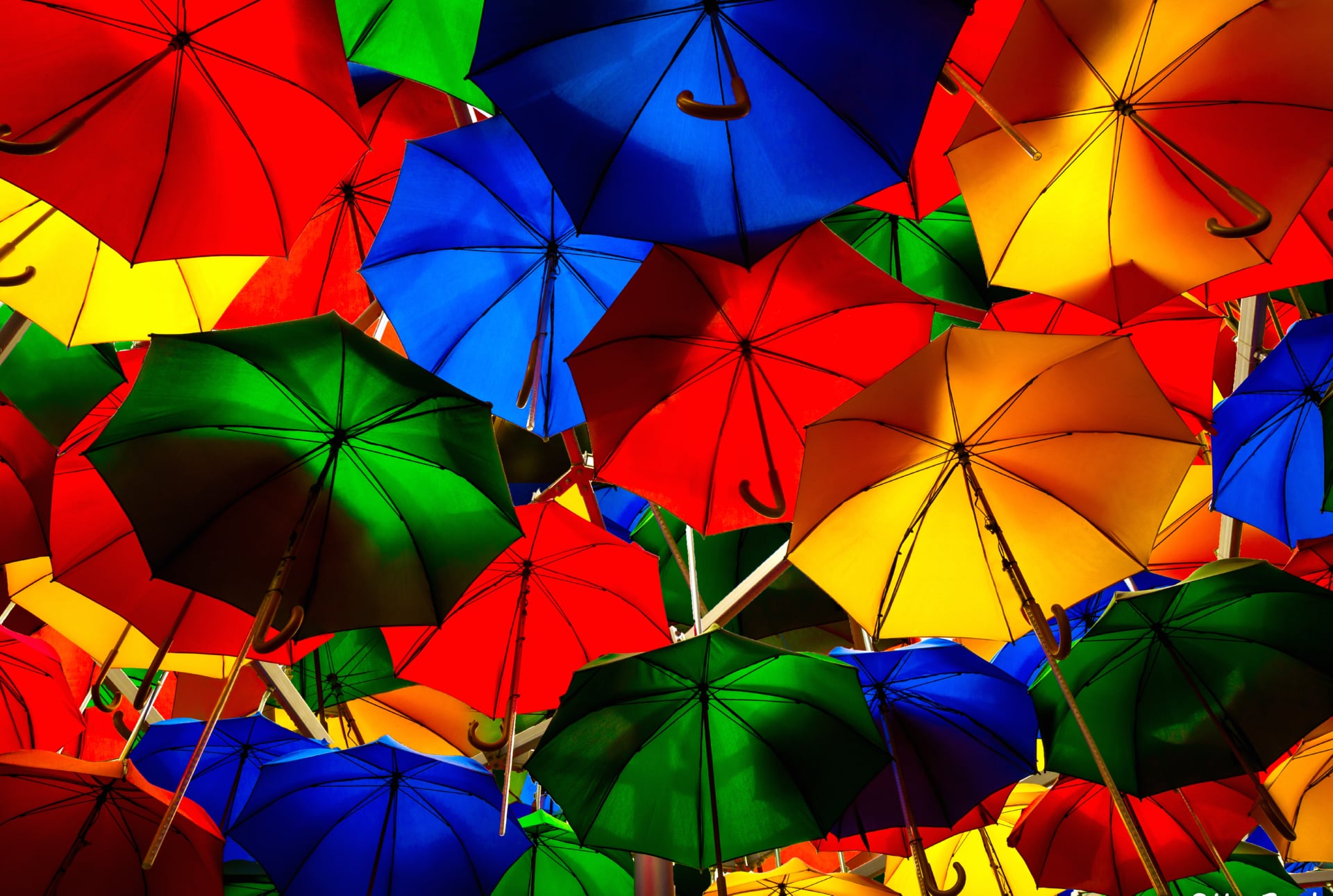 Umbrellas at 2048 x 2048 iPad size wallpapers HD quality