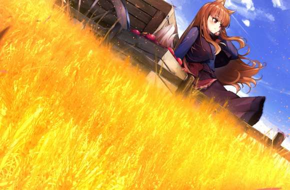 Anime Spice and Wolf wallpapers hd quality