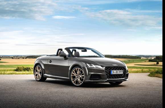 Audi TT Roadster bronze selection wallpapers hd quality