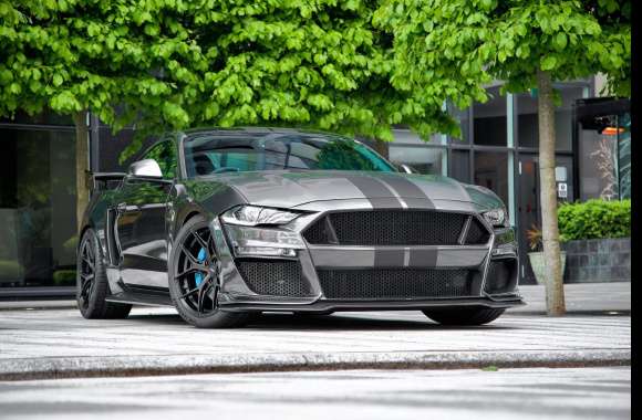Clive Sutton Mustang CS850GT wallpapers hd quality