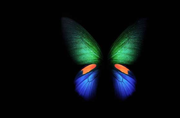 Digital Art Butterfly