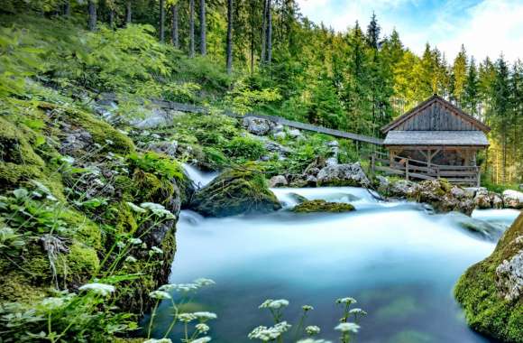 Gollinger Mill