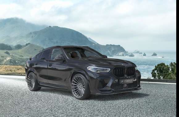 Hamann BMW X6 M Competition wallpapers hd quality