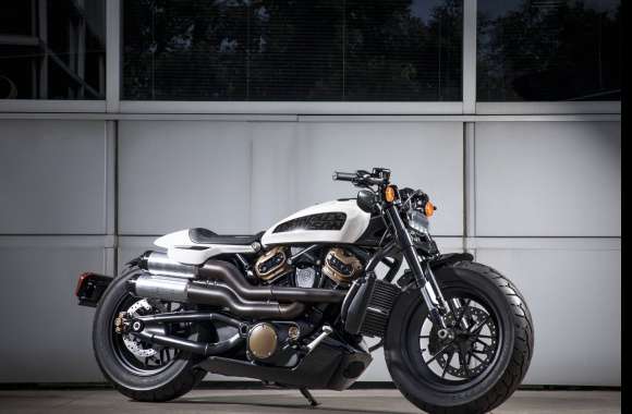 Harley-Davidson Custom 1250 wallpapers hd quality