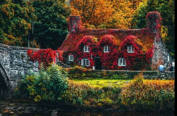 House Covered by Trees