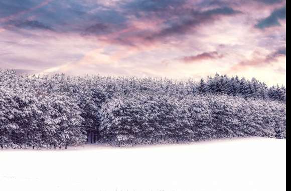 Snow covered wallpapers hd quality