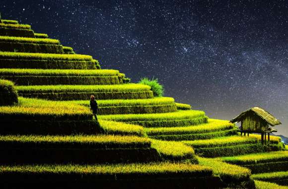 Terrace farming wallpapers hd quality