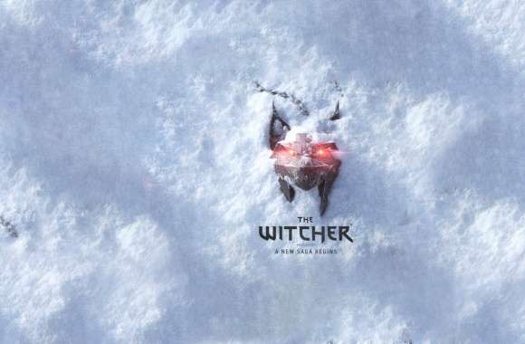 The Witcher 4