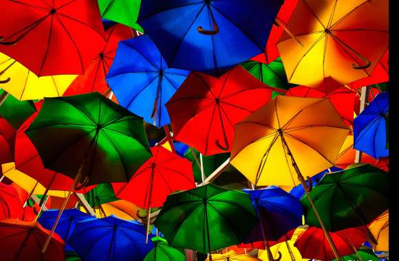Umbrellas wallpapers hd quality