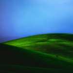Green Meadow high definition wallpapers