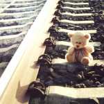 Teddy bear hd