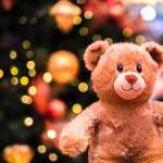 Teddy bear images