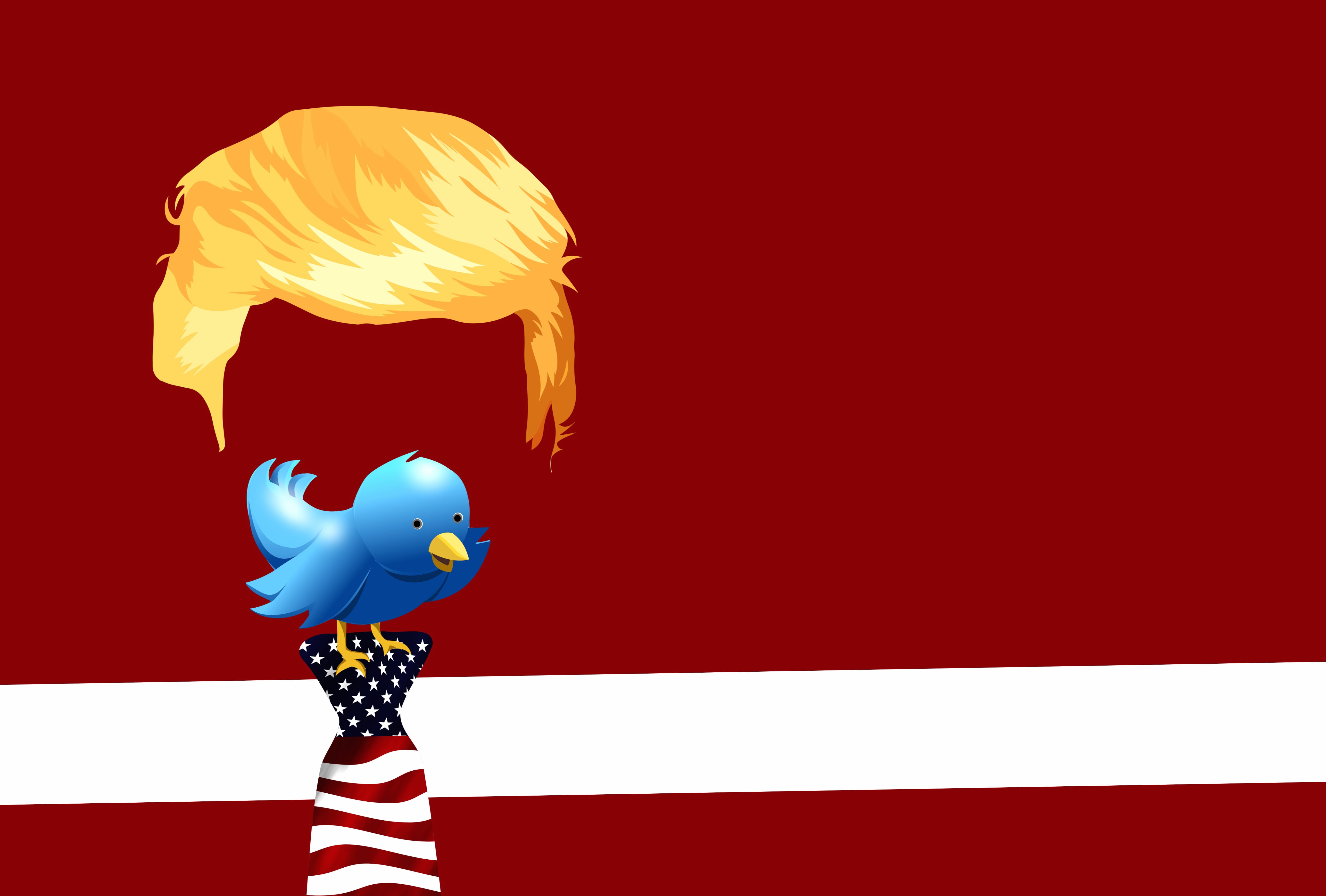 4K Ultra HD Funny Trump Twitter Wallpaper wallpapers HD quality