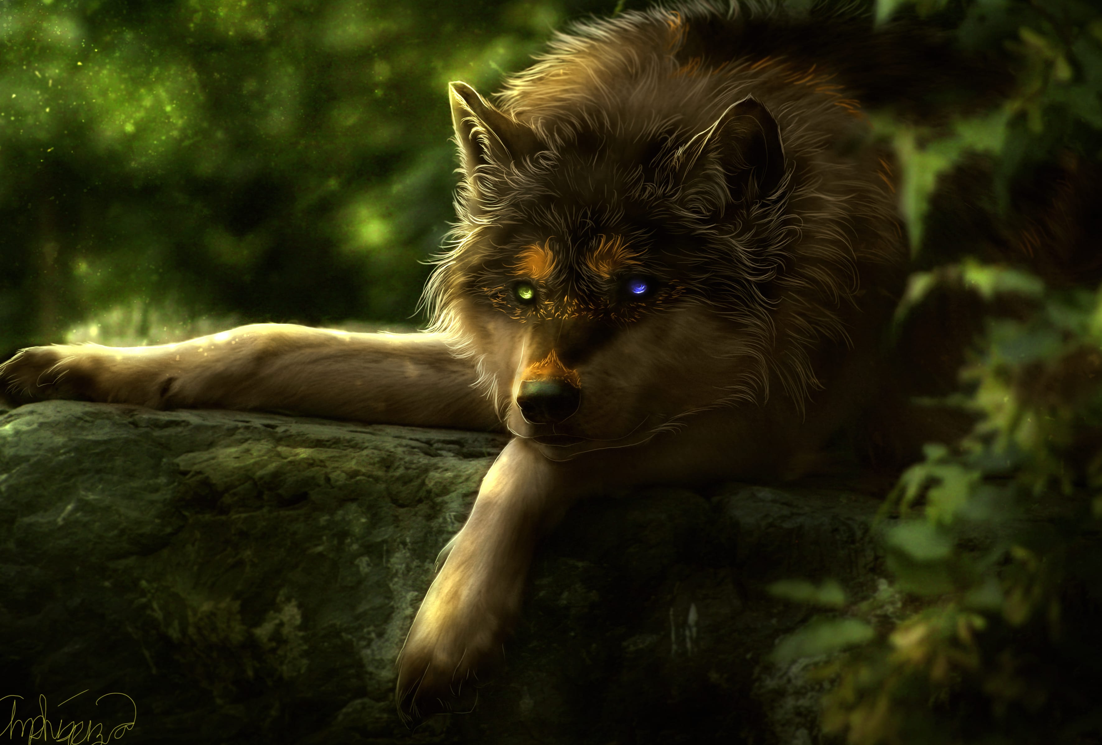 4K Ultra HD Heterochromia Wolf Wallpaper wallpapers HD quality