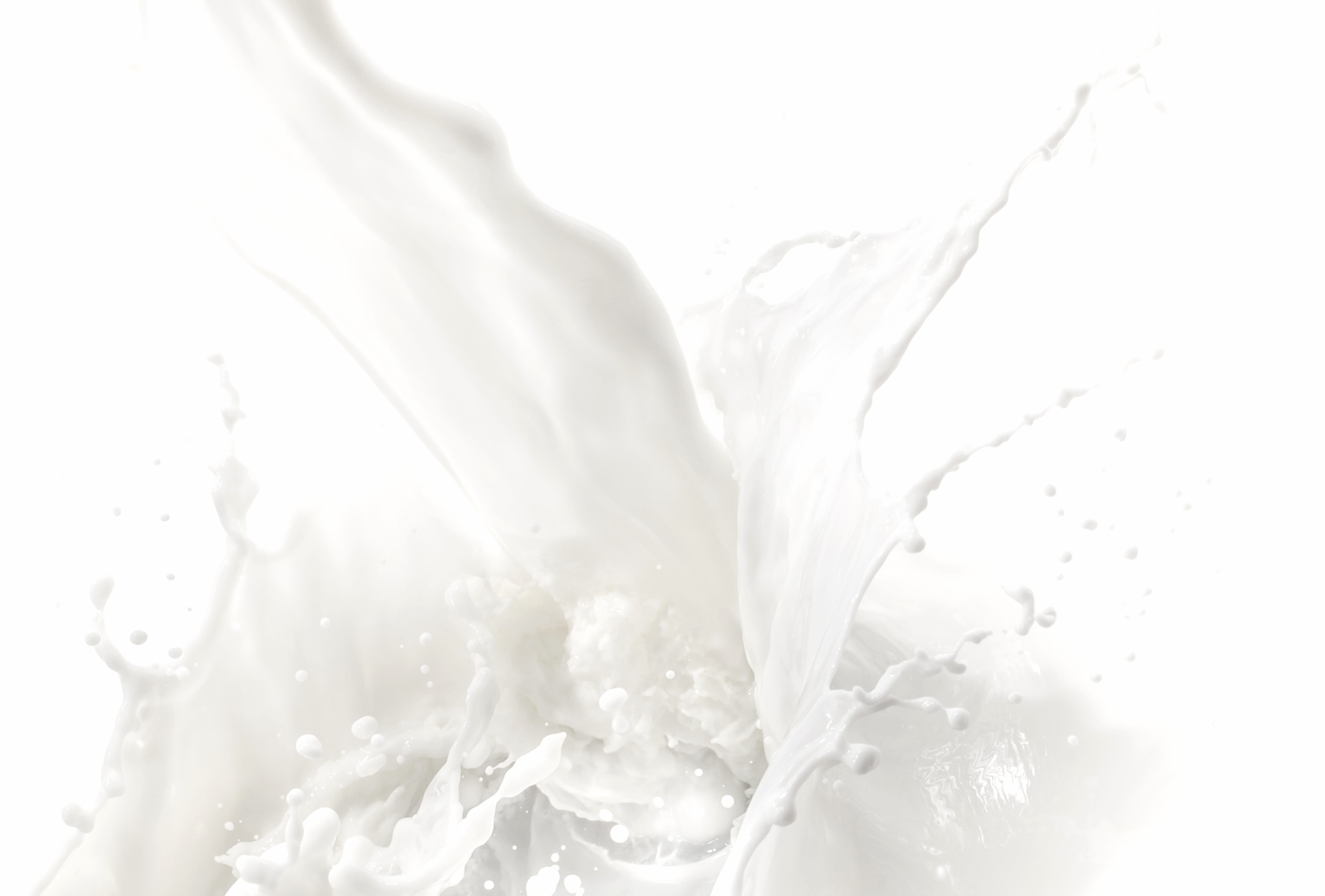 4K Ultra HD Milk Splash Wallpaper wallpapers HD quality