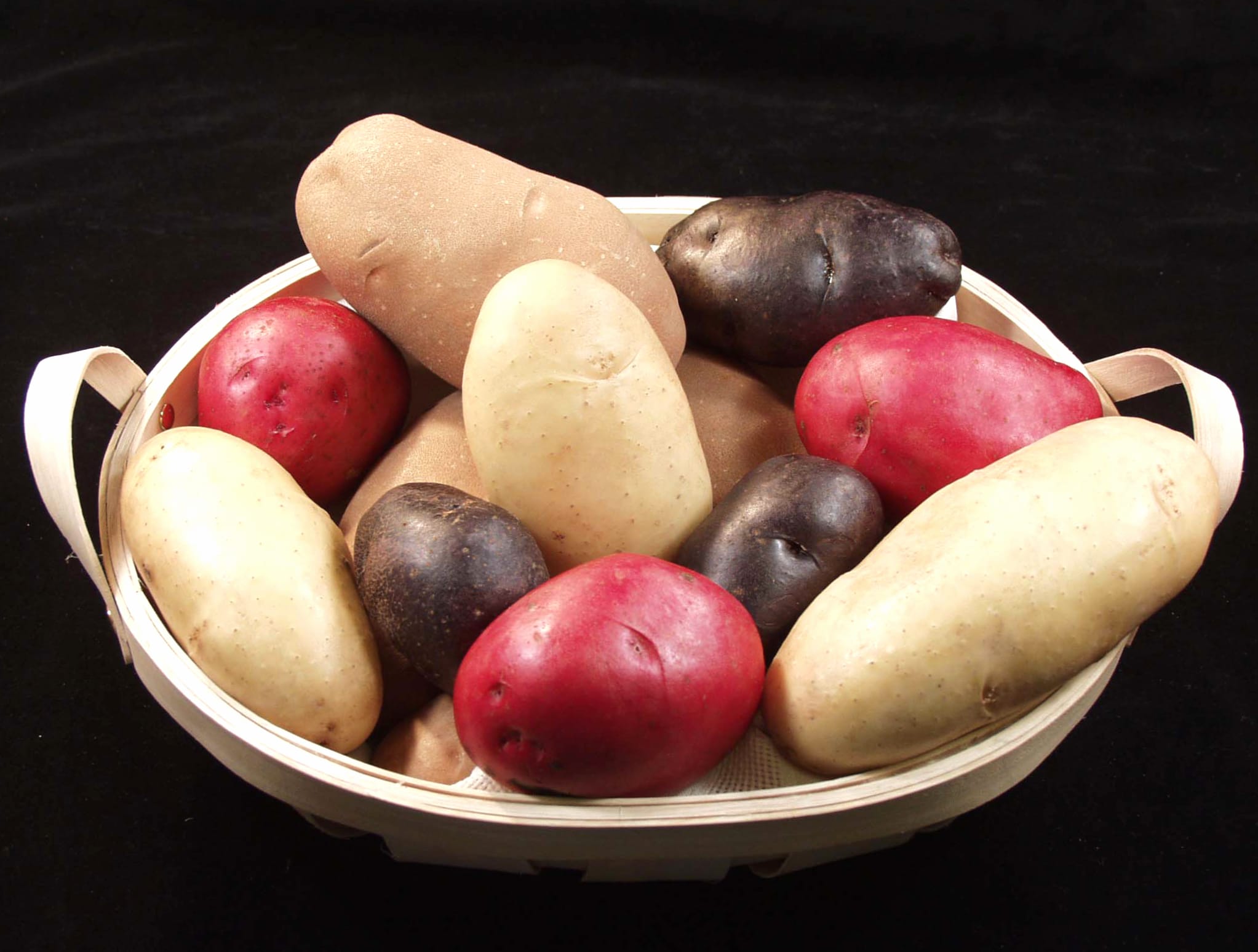 A Colorful Collection of Potatoes wallpapers HD quality