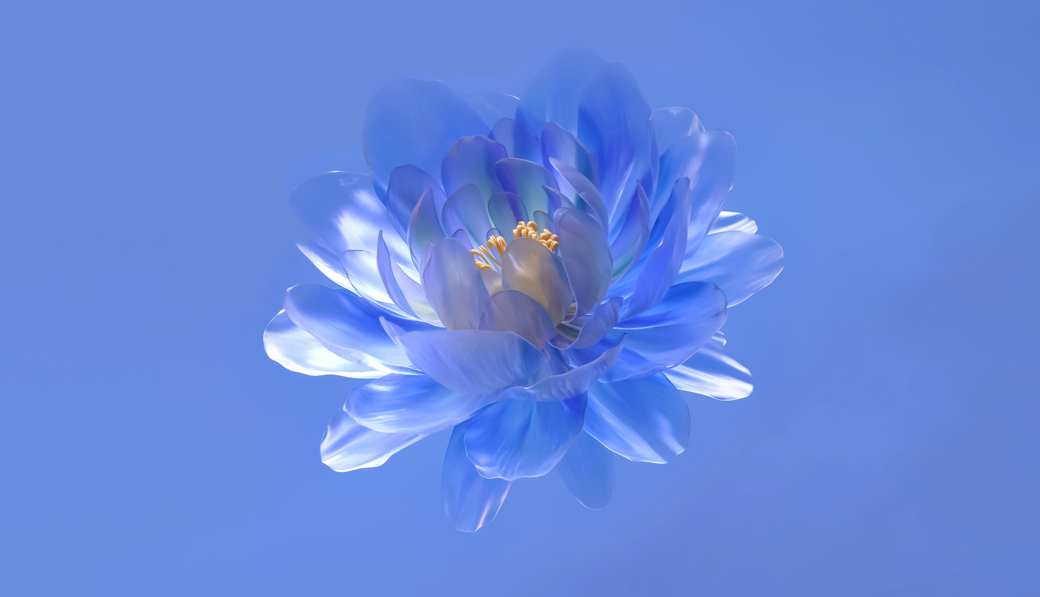 Abstract flower Blue aesthetic wallpapers HD quality