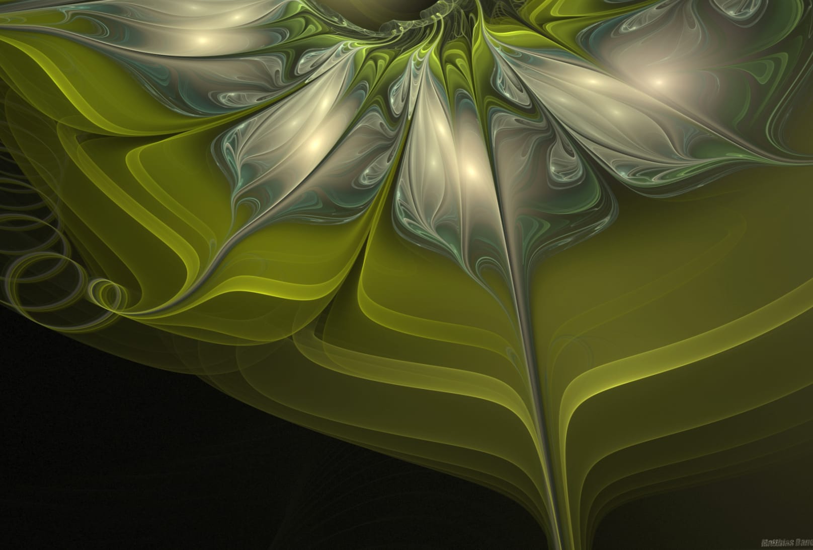 Abstract Green Floral Pattern at 640 x 1136 iPhone 5 size wallpapers HD quality