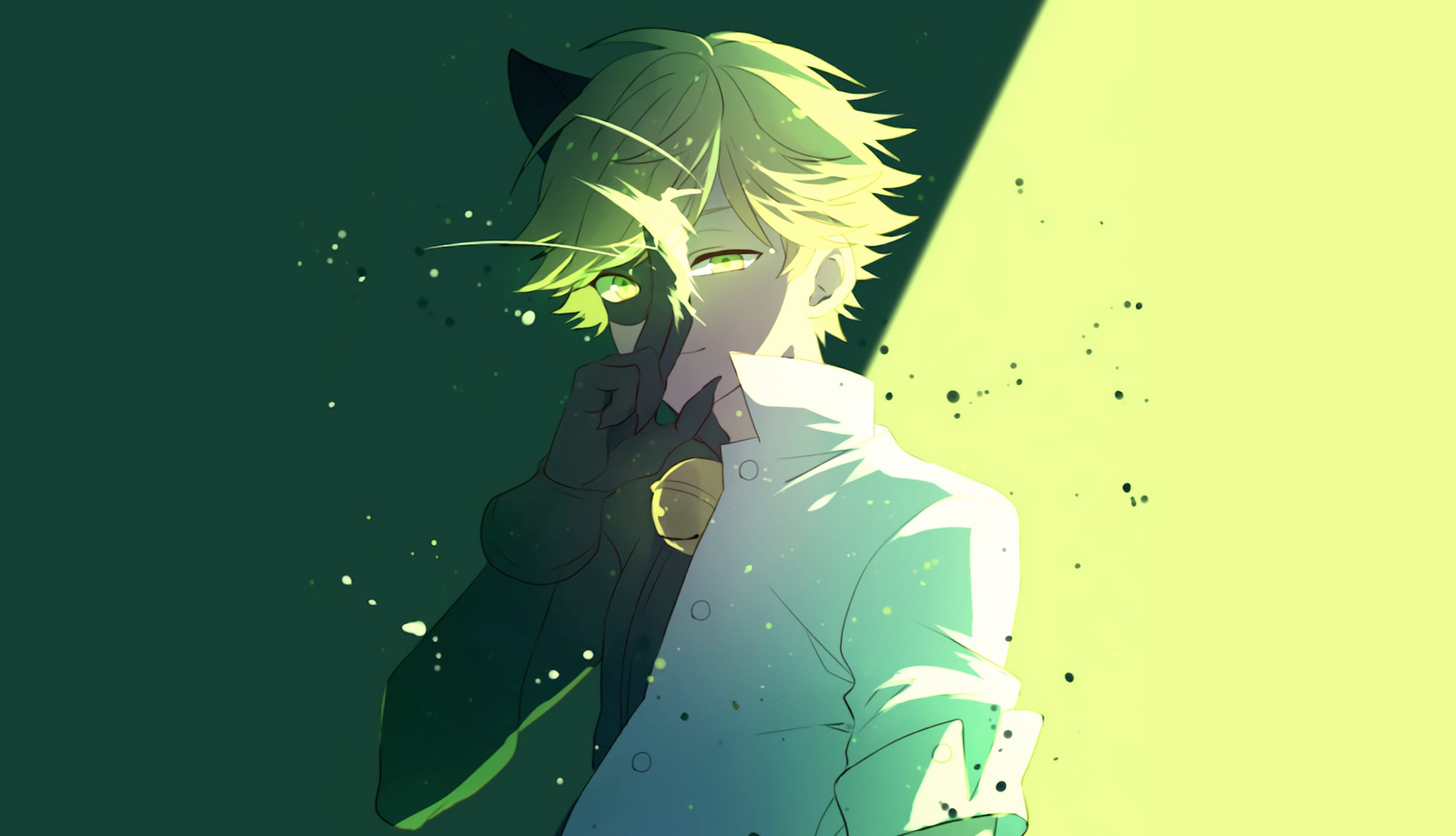 Adrien Agreste as Cat Noir wallpapers HD quality