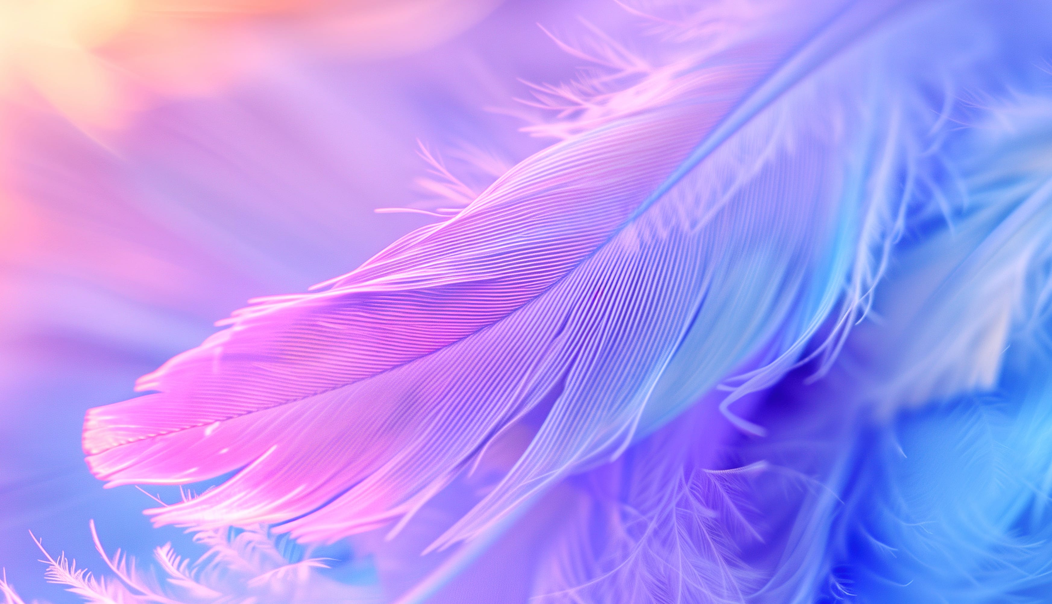 Aesthetic Feathers wallpapers HD quality