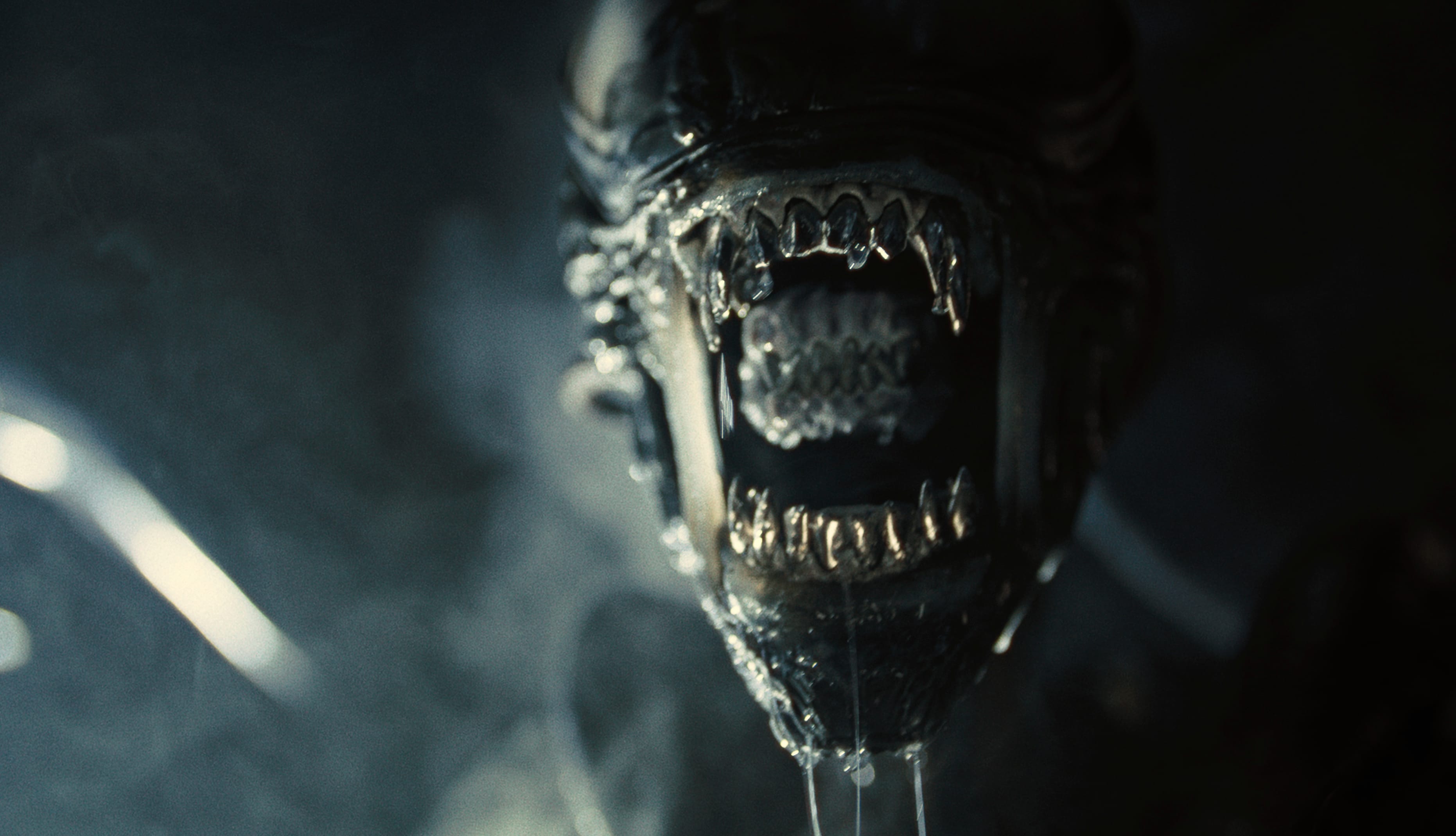 Alien Romulus Creature - HD Movie Wallpaper at 750 x 1334 iPhone 6 size wallpapers HD quality