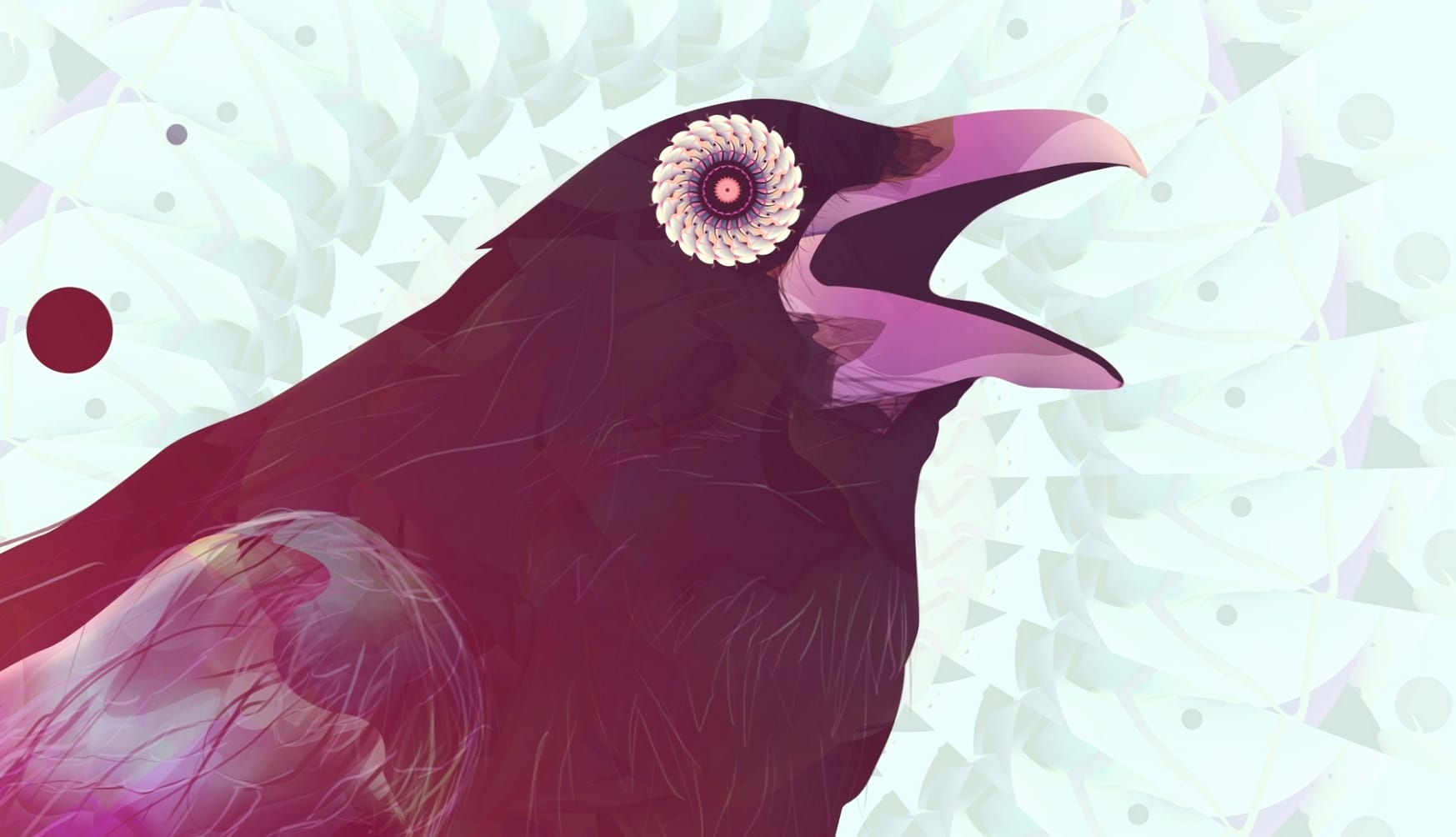 Animal Raven at 1366 x 768 HD size wallpapers HD quality