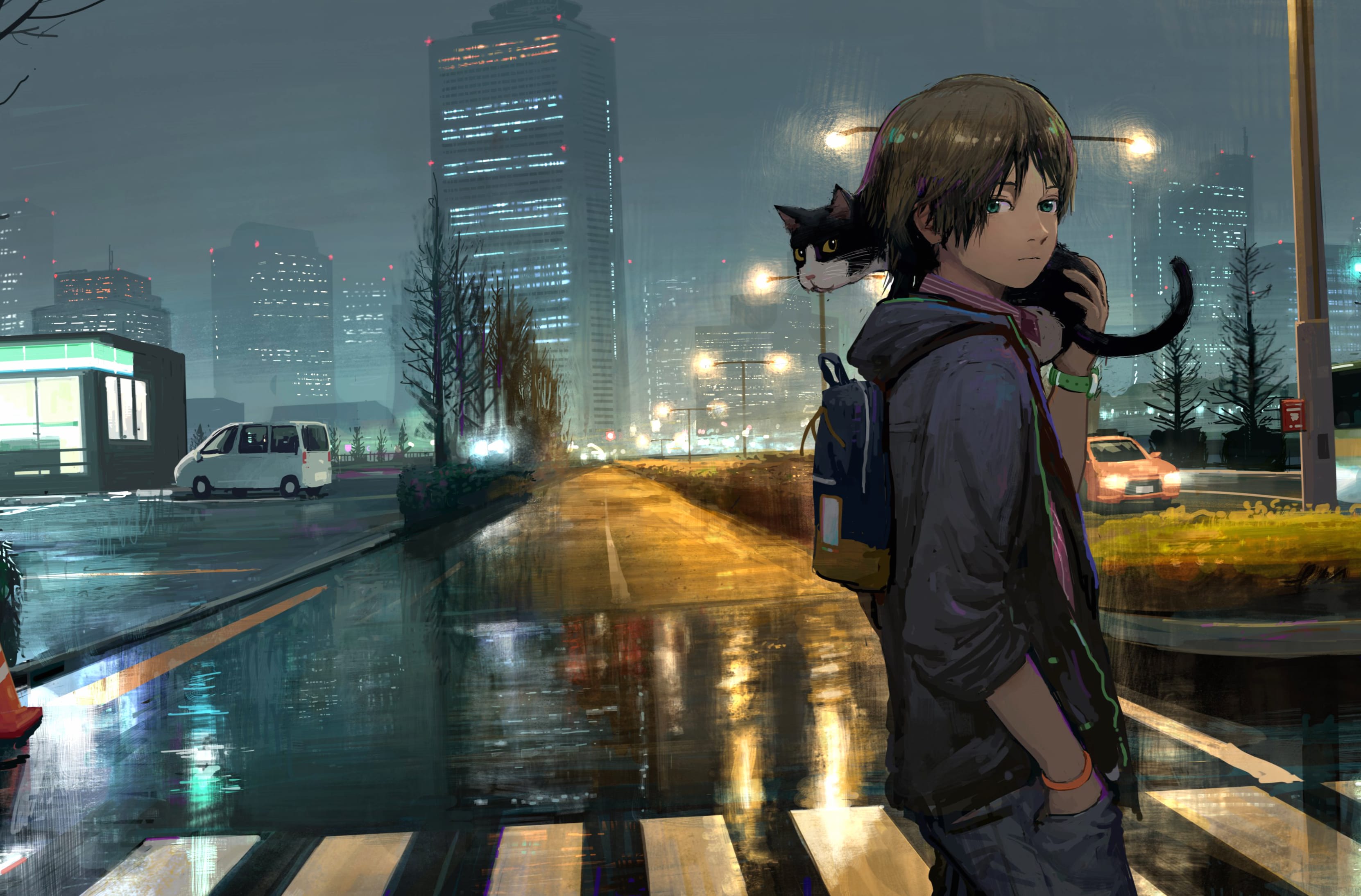 Anime Boy and Cat on a Rainy Night - wallpapers HD quality