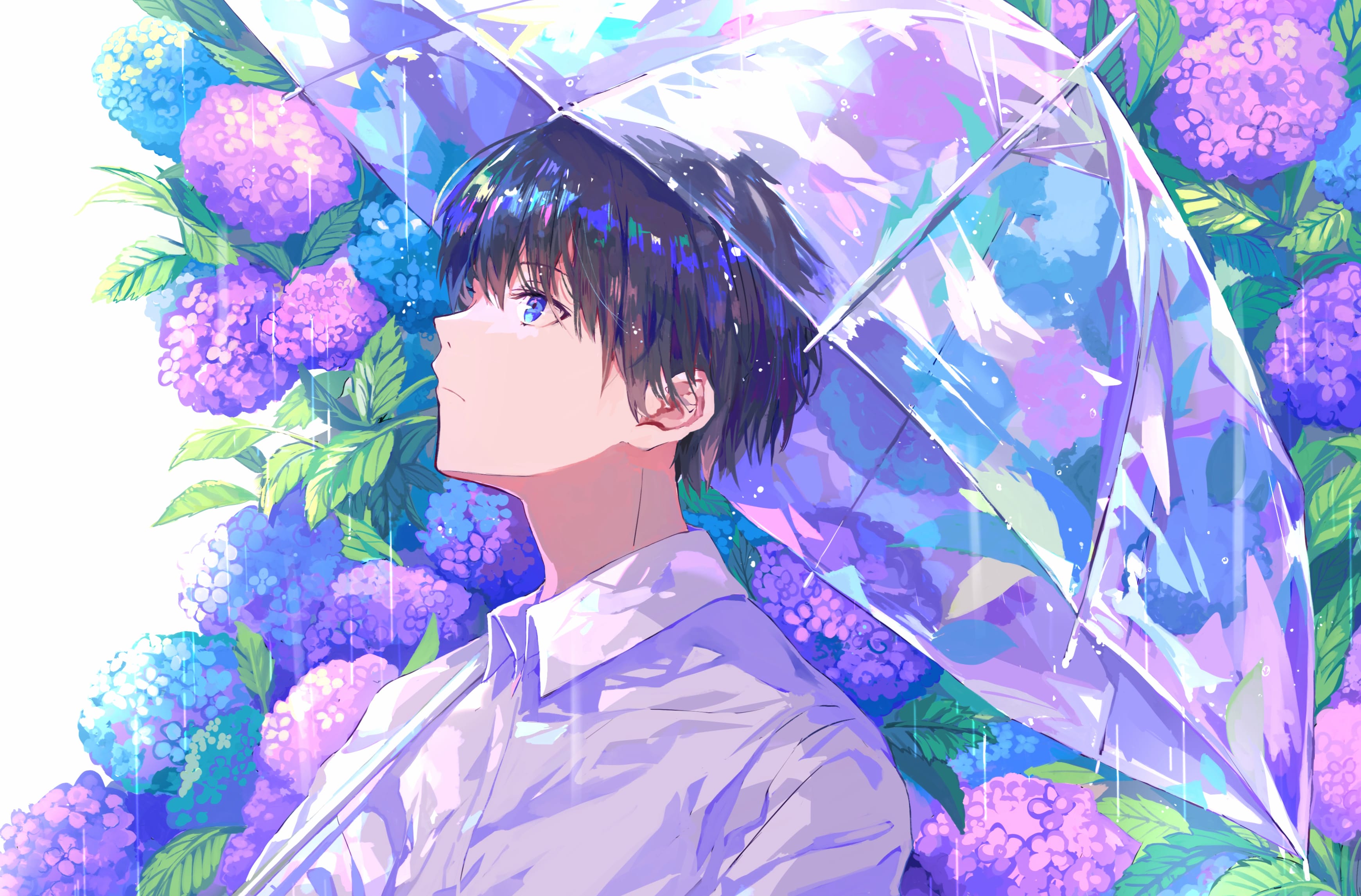 Anime Boy with Flowers and Umbrella - wallpapers HD quality