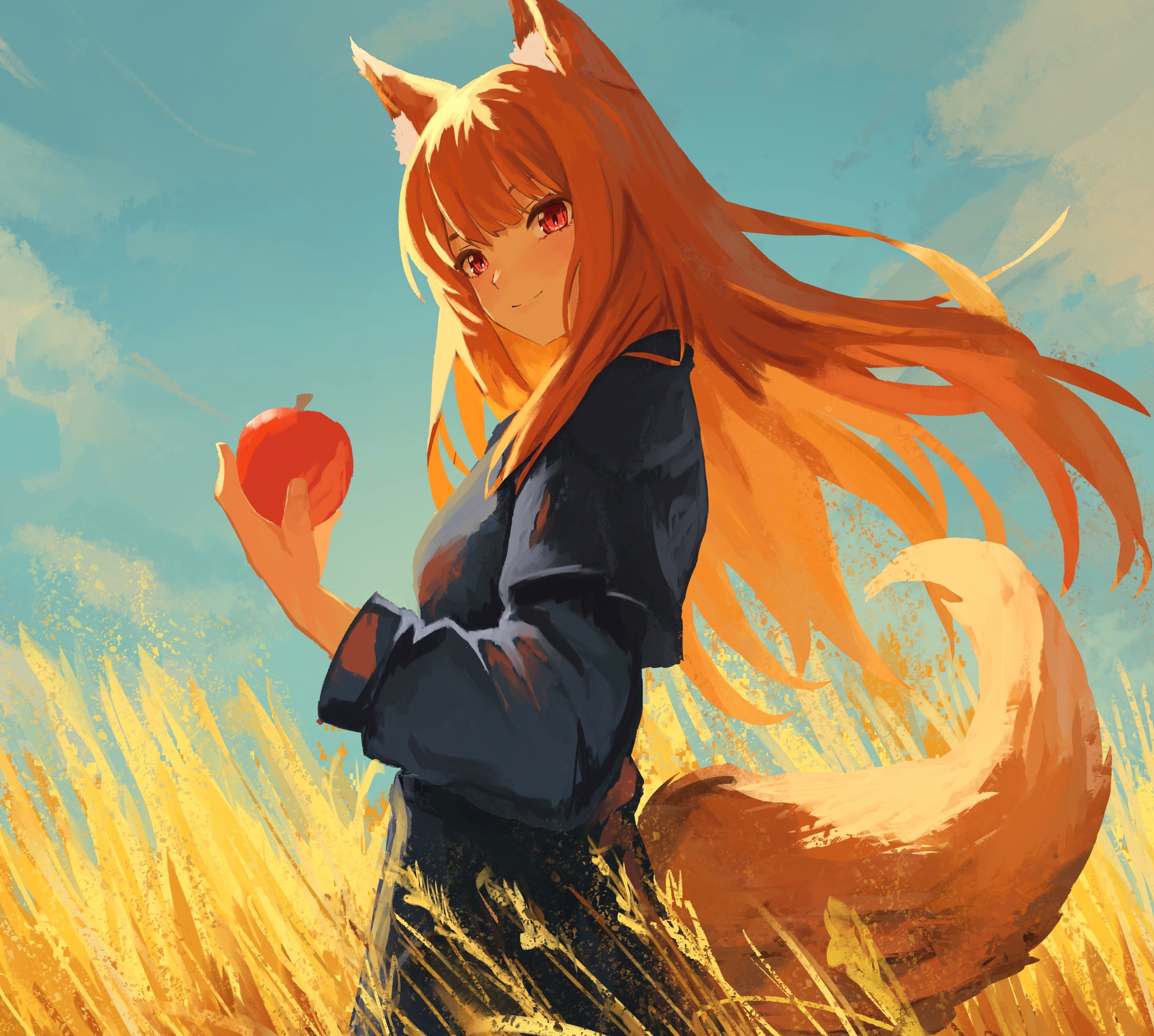 Anime Spice And Wolf Holo (Spice & Wolf) wallpapers HD quality