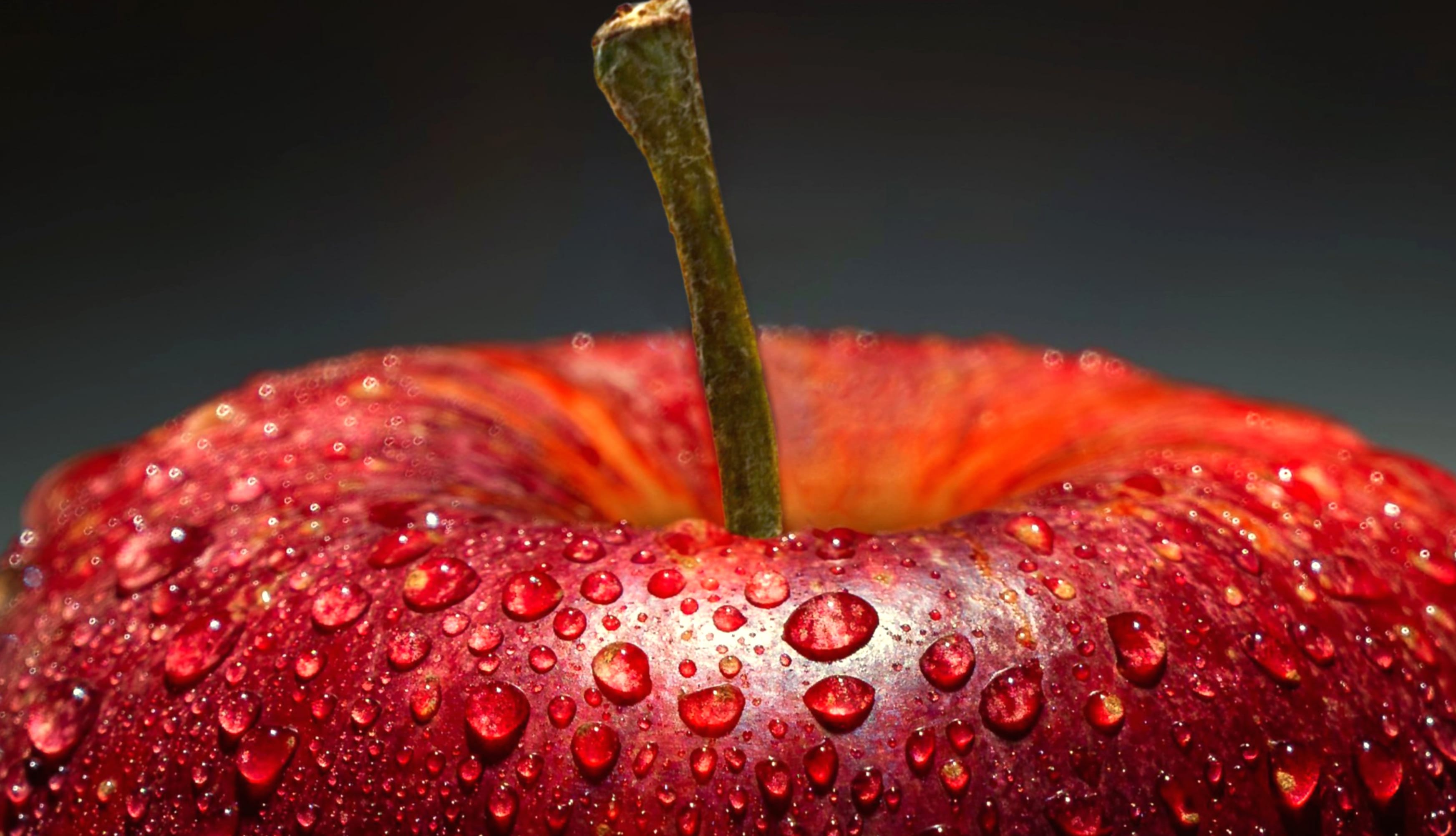 Apple Macro wallpapers HD quality