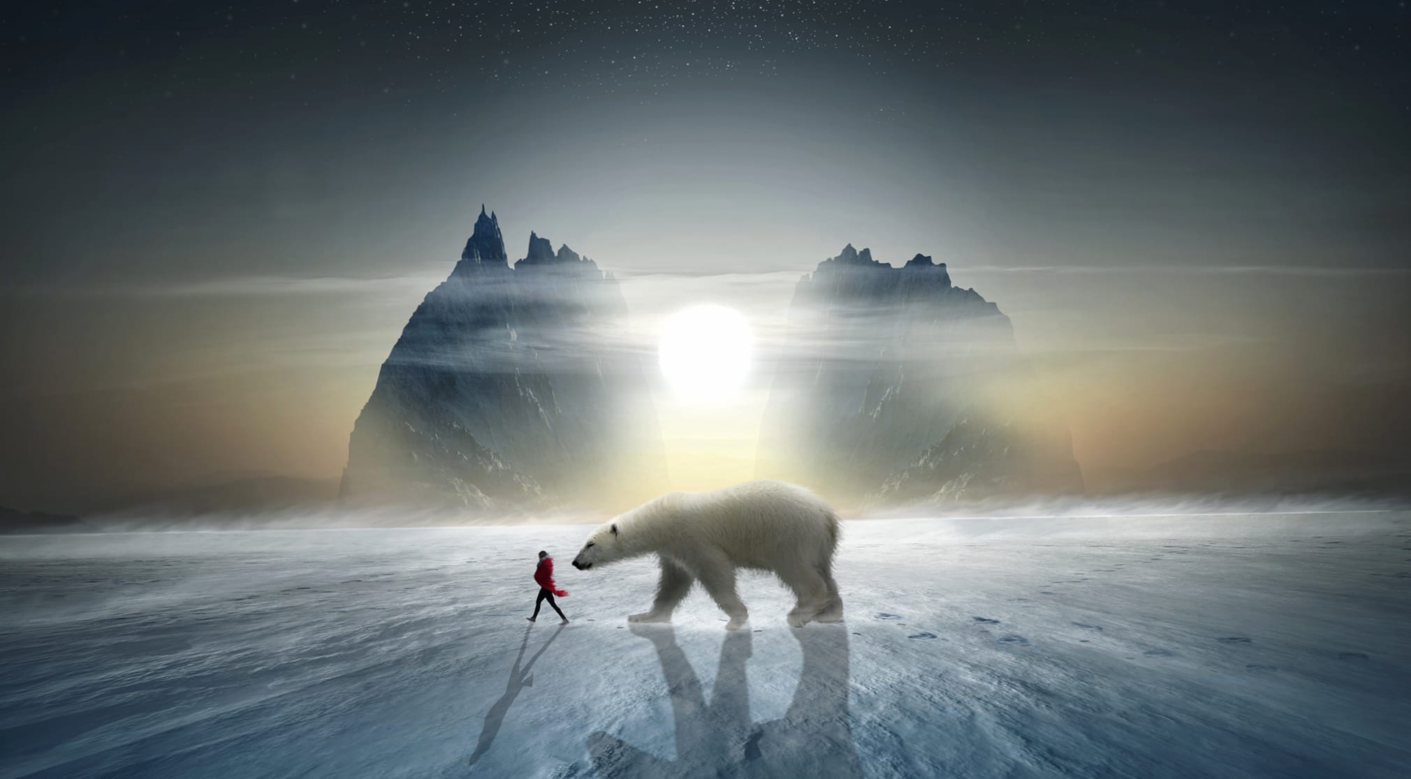 Arctic Majesty wallpapers HD Arctic Majesty wallpapers HD quality