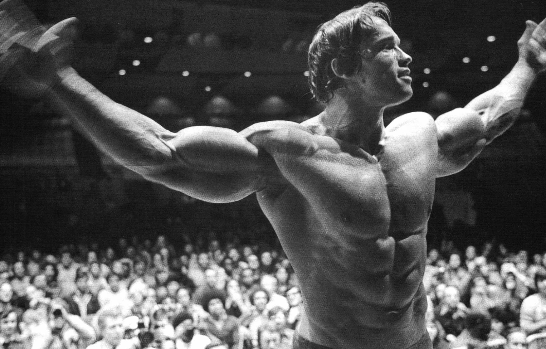 Arnold Schwarzenegger - Iconic Moment wallpapers HD quality